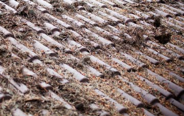 Stableford roof cleaning companies